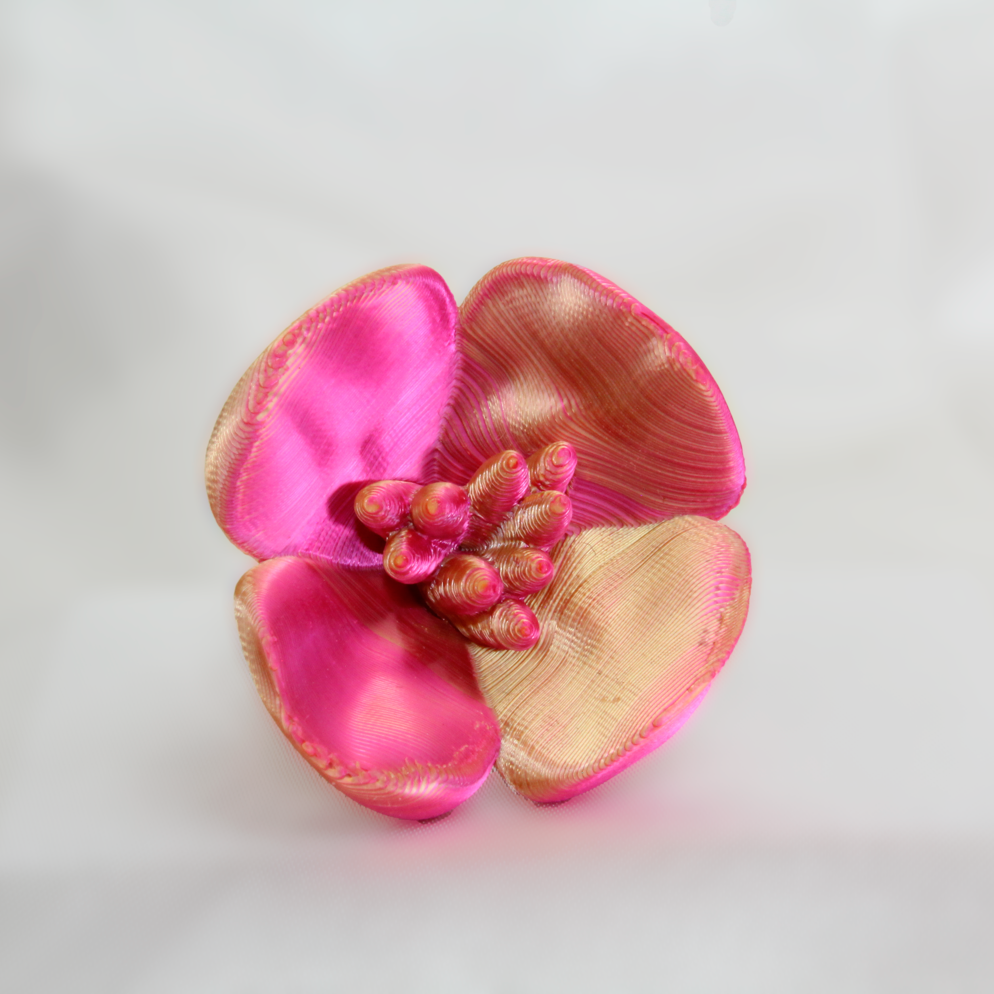 Pink flower-shaped object on a white background